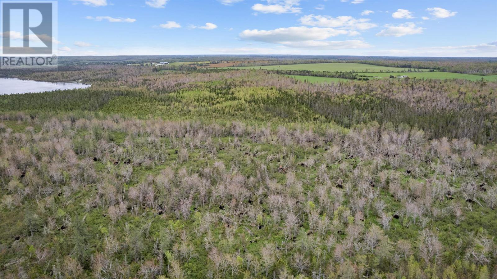 0 Adams Road, Fanning Brook, Prince Edward Island  C0A 1T0 - Photo 14 - 202617977