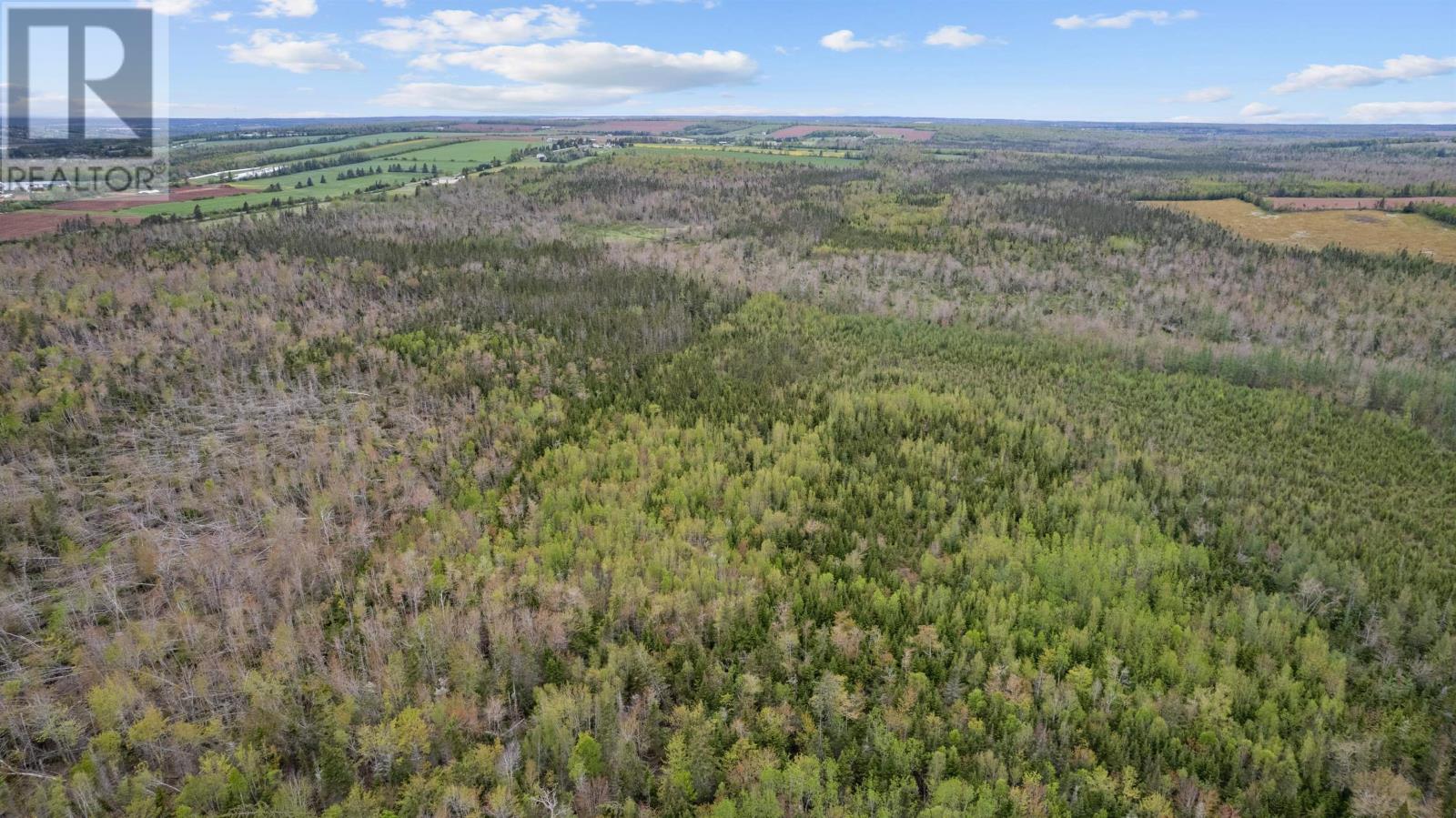 0 Adams Road, Fanning Brook, Prince Edward Island  C0A 1T0 - Photo 17 - 202617977