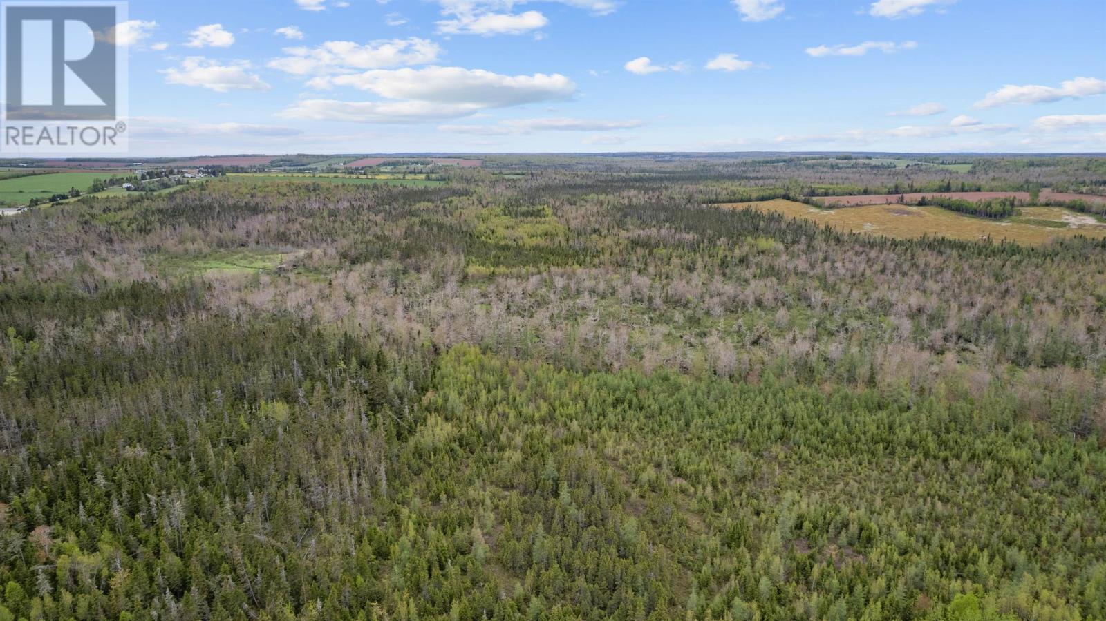 0 Adams Road, Fanning Brook, Prince Edward Island  C0A 1T0 - Photo 19 - 202617977