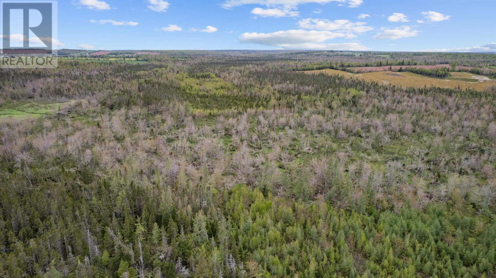 0 Adams Road, Fanning Brook, Prince Edward Island  C0A 1T0 - Photo 20 - 202617977