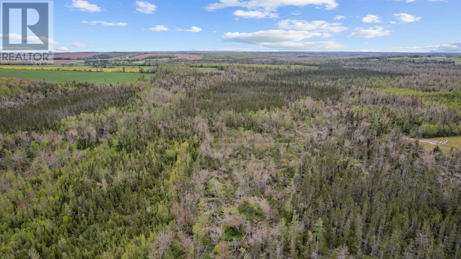 0 Adams Road, Fanning Brook, Prince Edward Island  C0A 1T0 - Photo 23 - 202617977