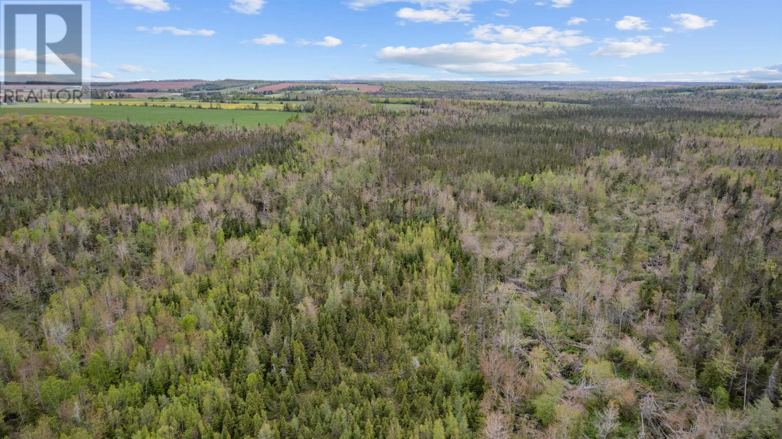 0 Adams Road, Fanning Brook, Prince Edward Island  C0A 1T0 - Photo 24 - 202617977
