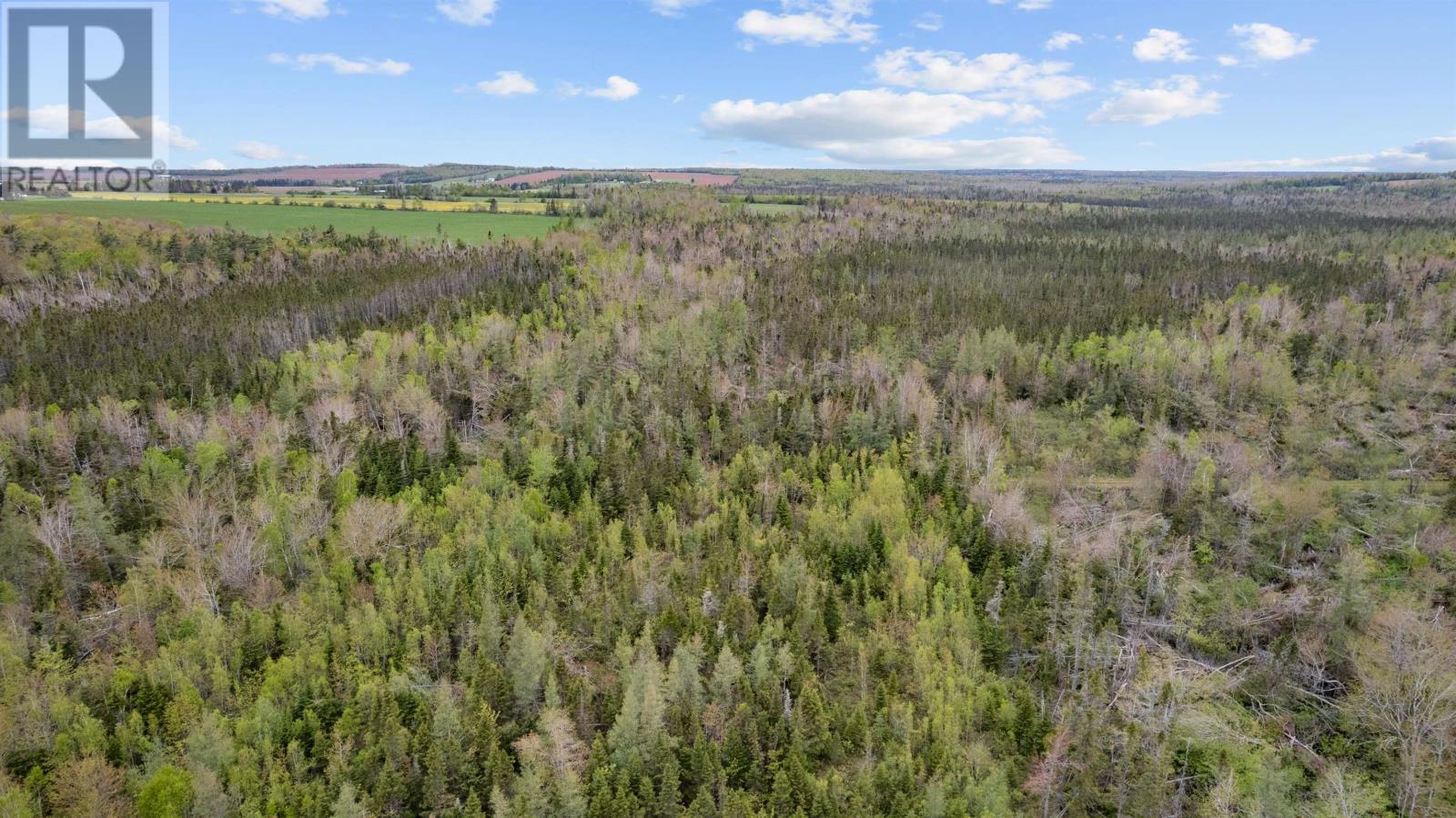 0 Adams Road, Fanning Brook, Prince Edward Island  C0A 1T0 - Photo 25 - 202617977