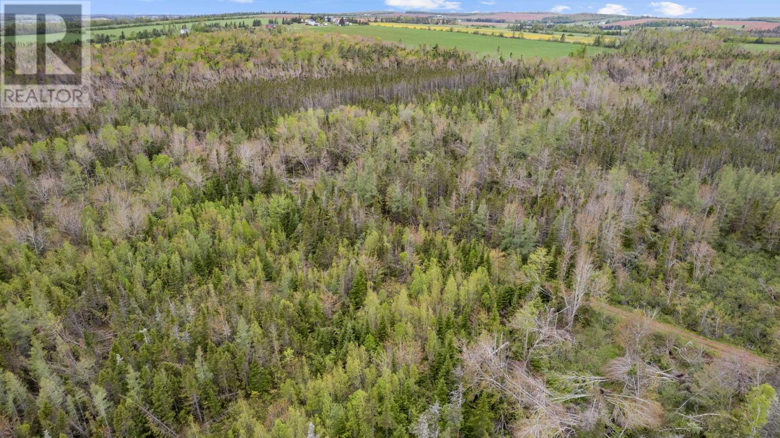 0 Adams Road, Fanning Brook, Prince Edward Island  C0A 1T0 - Photo 26 - 202617977