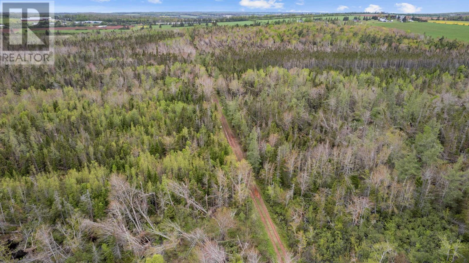 0 Adams Road, Fanning Brook, Prince Edward Island  C0A 1T0 - Photo 27 - 202617977