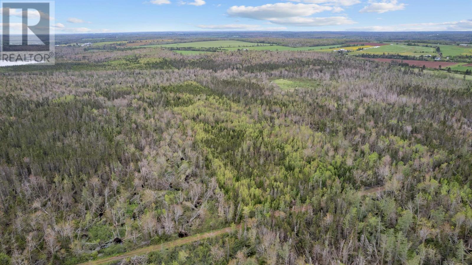 0 Adams Road, Fanning Brook, Prince Edward Island  C0A 1T0 - Photo 6 - 202617977