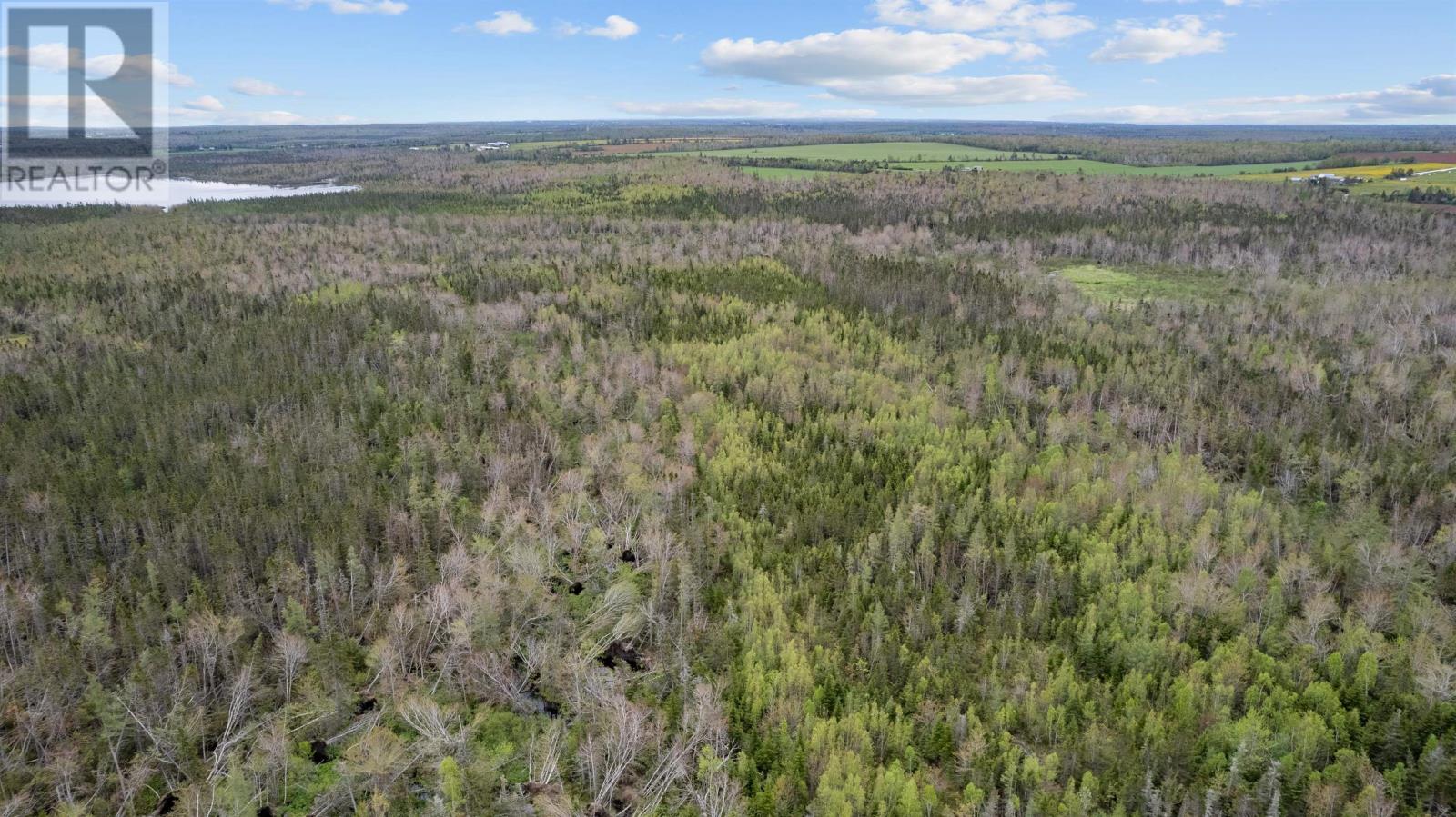 0 Adams Road, Fanning Brook, Prince Edward Island  C0A 1T0 - Photo 7 - 202617977