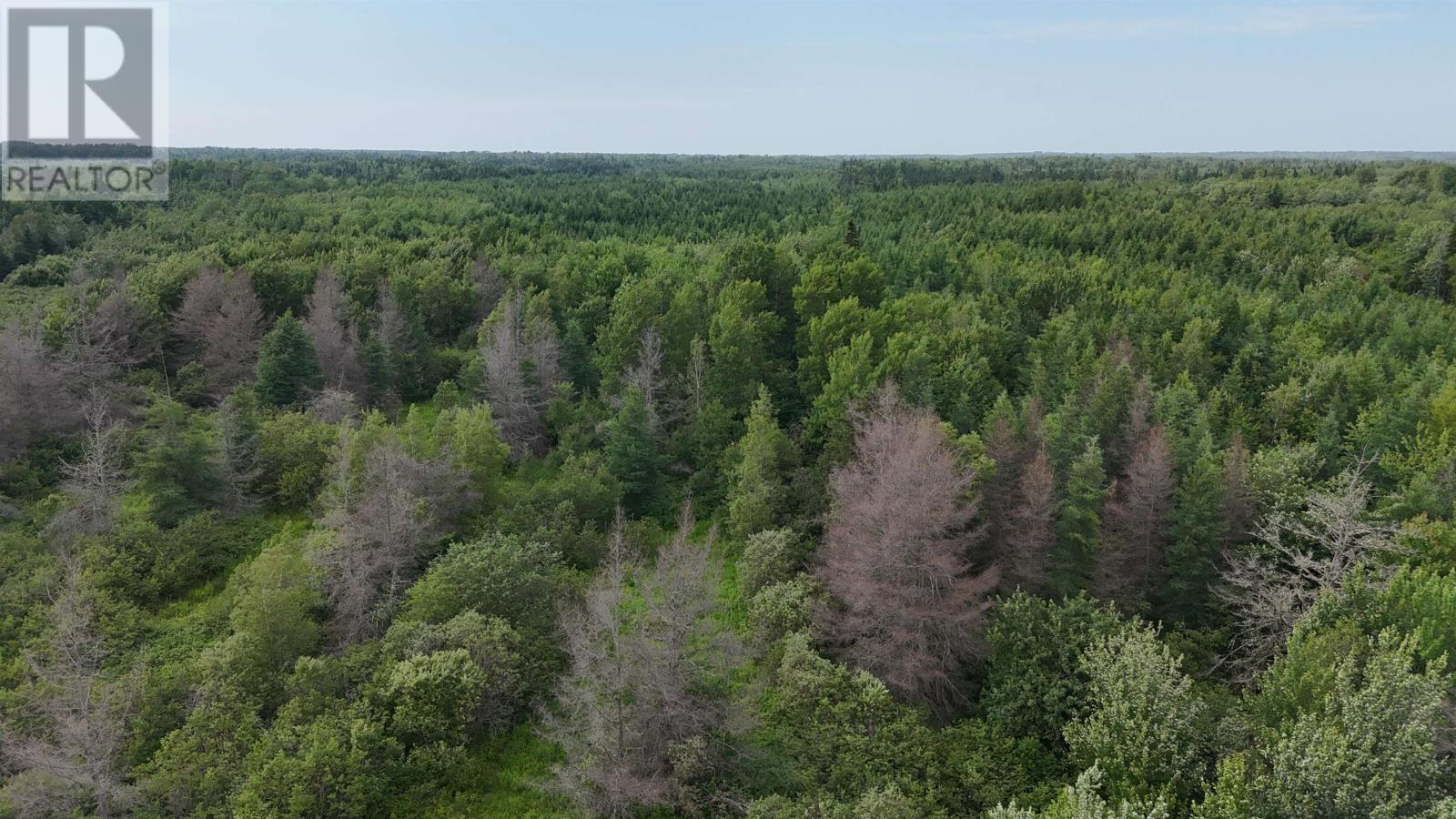 Duvar Road, Duvar, Prince Edward Island  C0B 1E0 - Photo 6 - 202618148