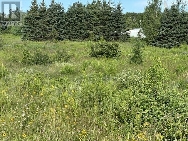 1916 Byrnes Road, Byrnes Road, Prince Edward Island  C0A 1S0 - Photo 3 - 202618618
