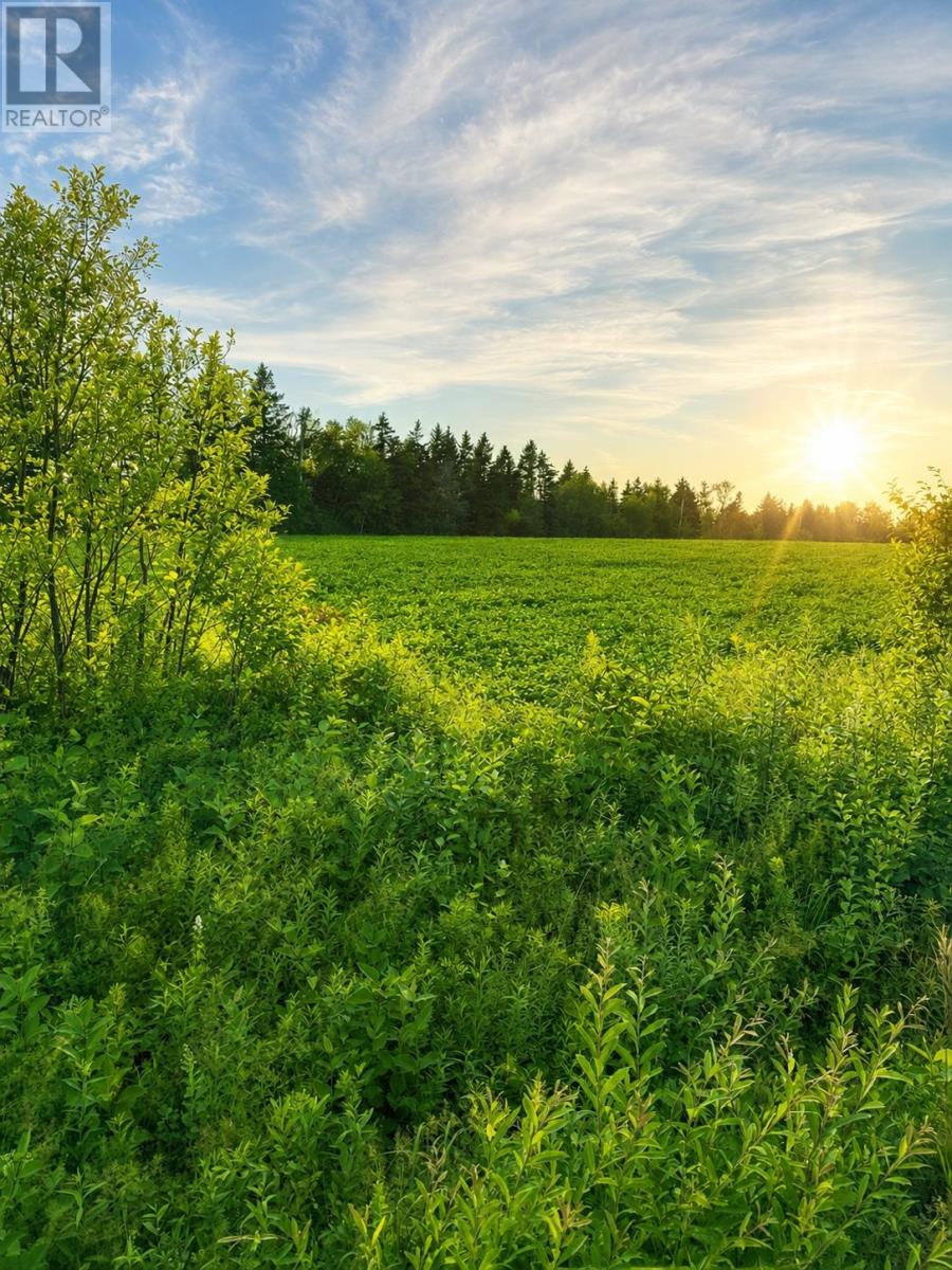 Lot 2017-1 Fort Augustus Road, Websters Corner, Prince Edward Island  C1B 2Y6 - Photo 7 - 202618860