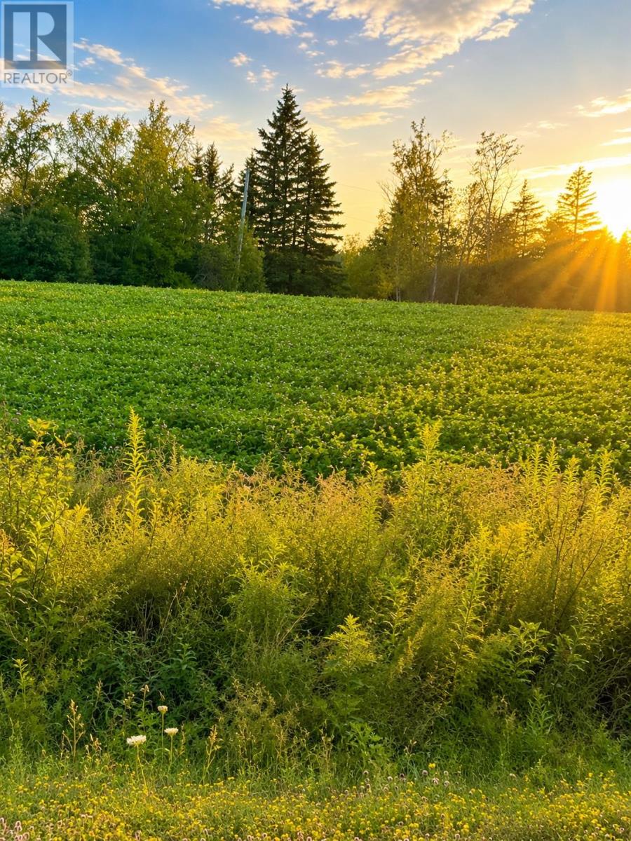 Lot 2017-2 Fort Augustus Road, Websters Corner, Prince Edward Island  C1B 2Y6 - Photo 4 - 202618863