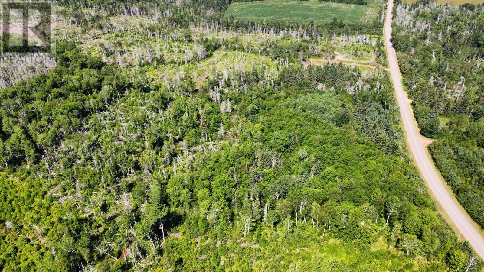 Lot 26-1 1104 New Orleans Road, St. Patrick's, Prince Edward Island  C0A 1N0 - Photo 3 - 202618874