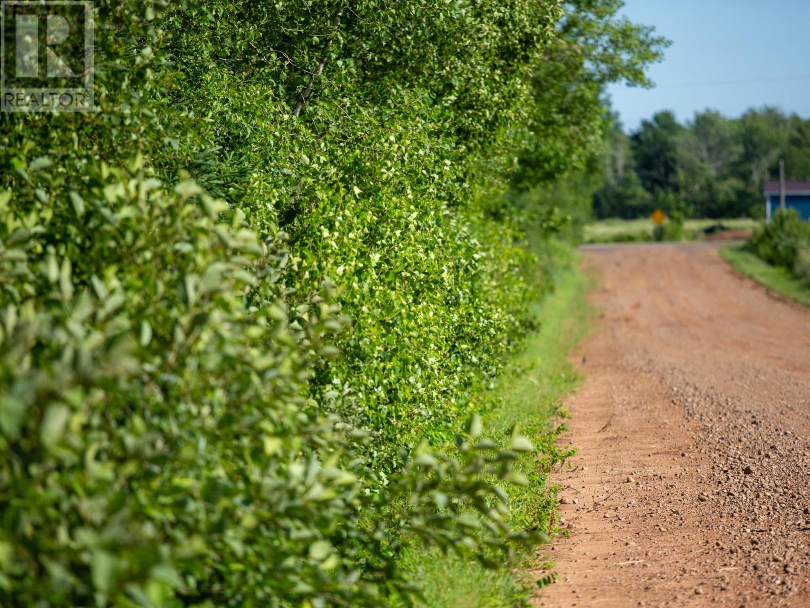 Acreage Campbell Road, Whim Road, Prince Edward Island  C0A 1R0 - Photo 5 - 202619003