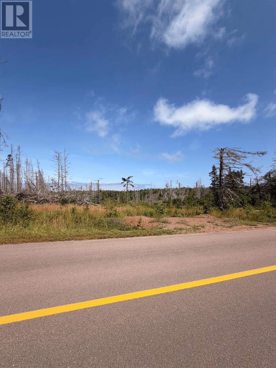 Canavoy Road, Canavoy, Prince Edward Island  C0A 1T0 - Photo 7 - 202619079