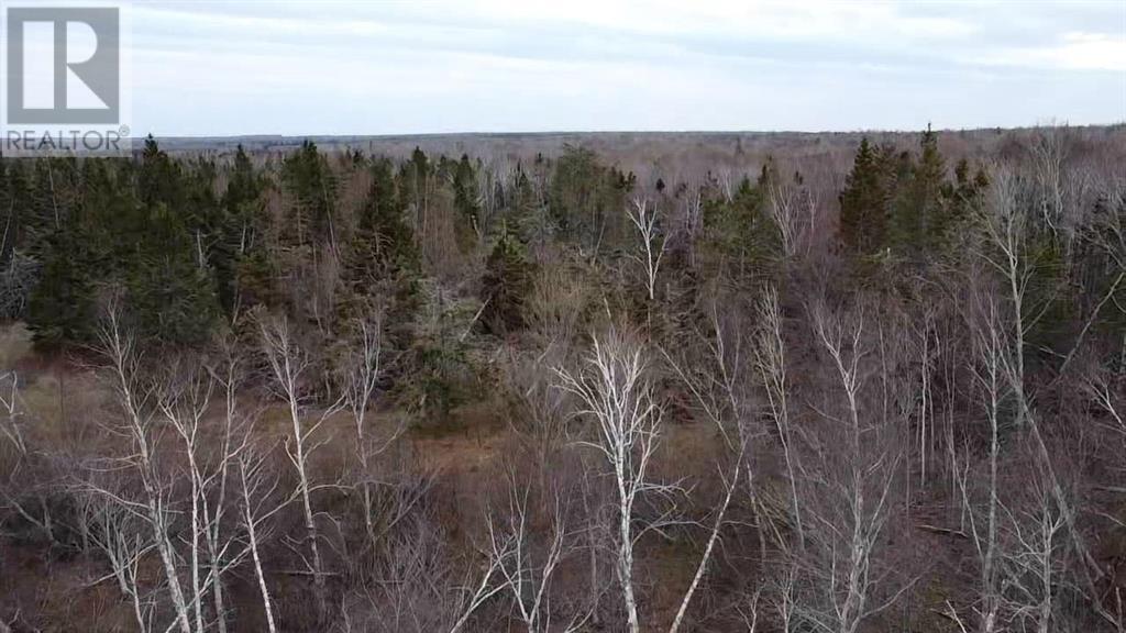 Acreage Church Road, Rte 331, Church Road, Prince Edward Island  C0A 1T0 - Photo 5 - 202619087