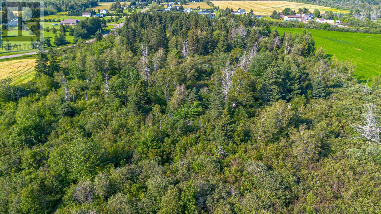 Acreage Mont Carmel Road, Mont Carmel, Prince Edward Island  C0B 2E0 - Photo 18 - 202619705