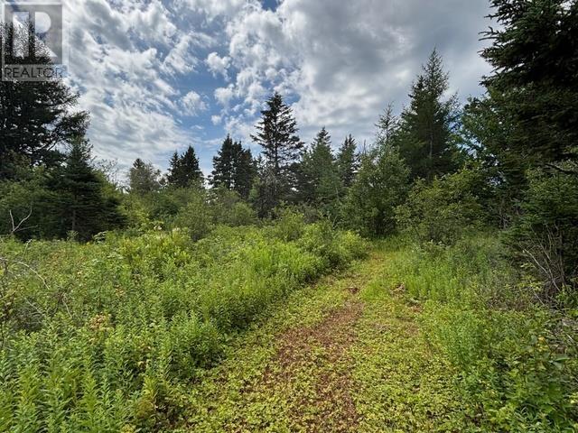 Acreage Mont Carmel Road, Mont Carmel, Prince Edward Island  C0B 2E0 - Photo 25 - 202619705