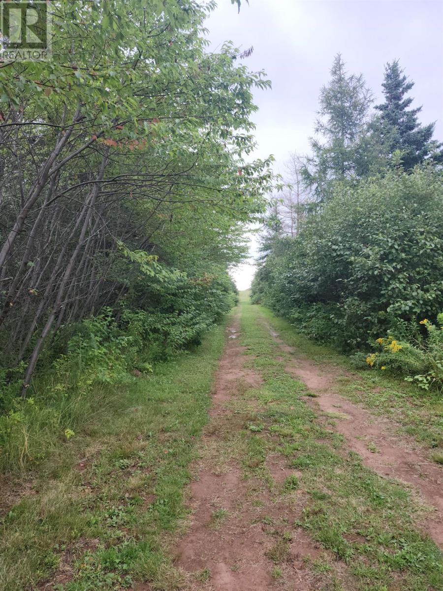 Lot Henrys Lane, Gaspereaux, Prince Edward Island  C0A 1R0 - Photo 2 - 202621535