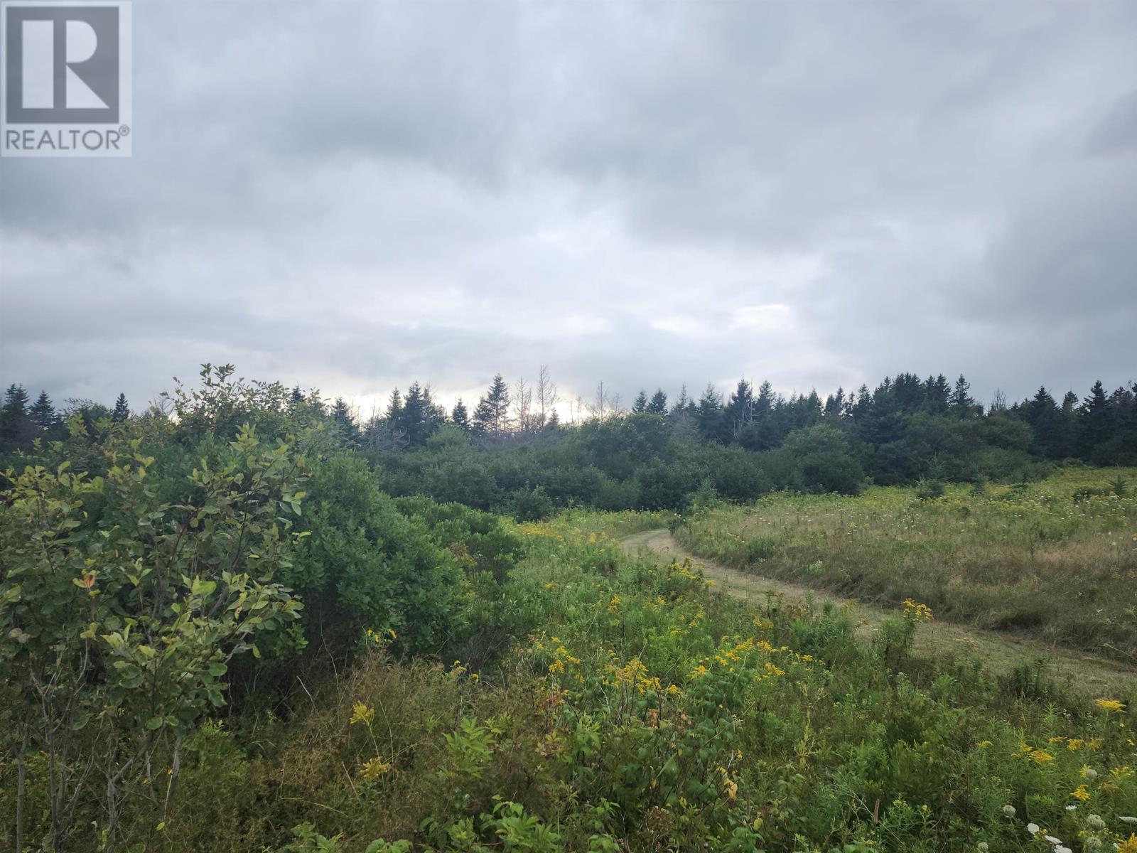 Lot Henrys Lane, Gaspereaux, Prince Edward Island  C0A 1R0 - Photo 6 - 202621535
