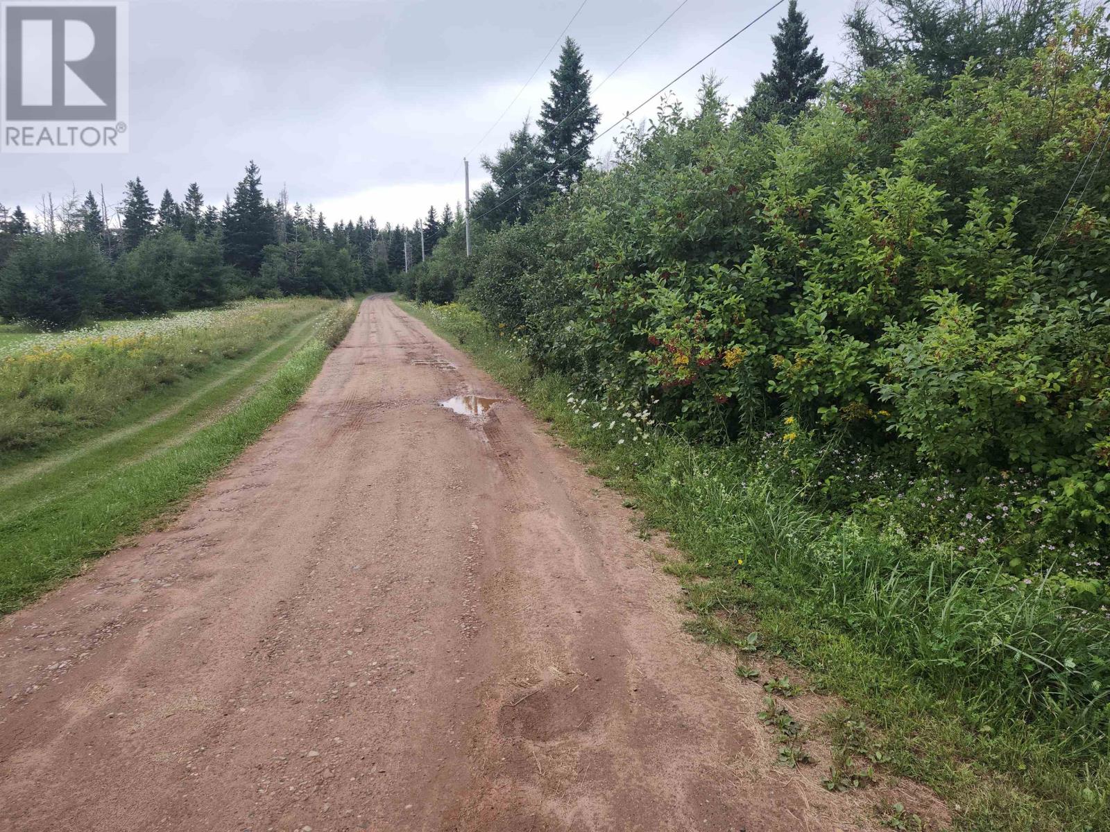 Lot Henrys Lane, Gaspereaux, Prince Edward Island  C0A 1R0 - Photo 7 - 202621535
