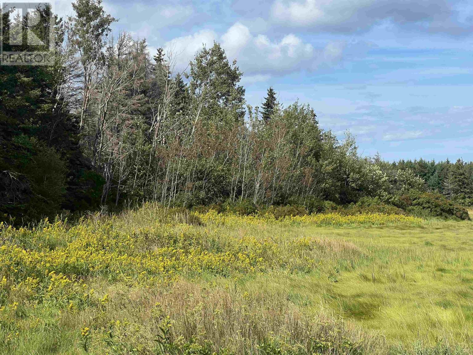 Acreage Cymbria, Cymbria, Prince Edward Island  C0A 1N0 - Photo 2 - 202622608