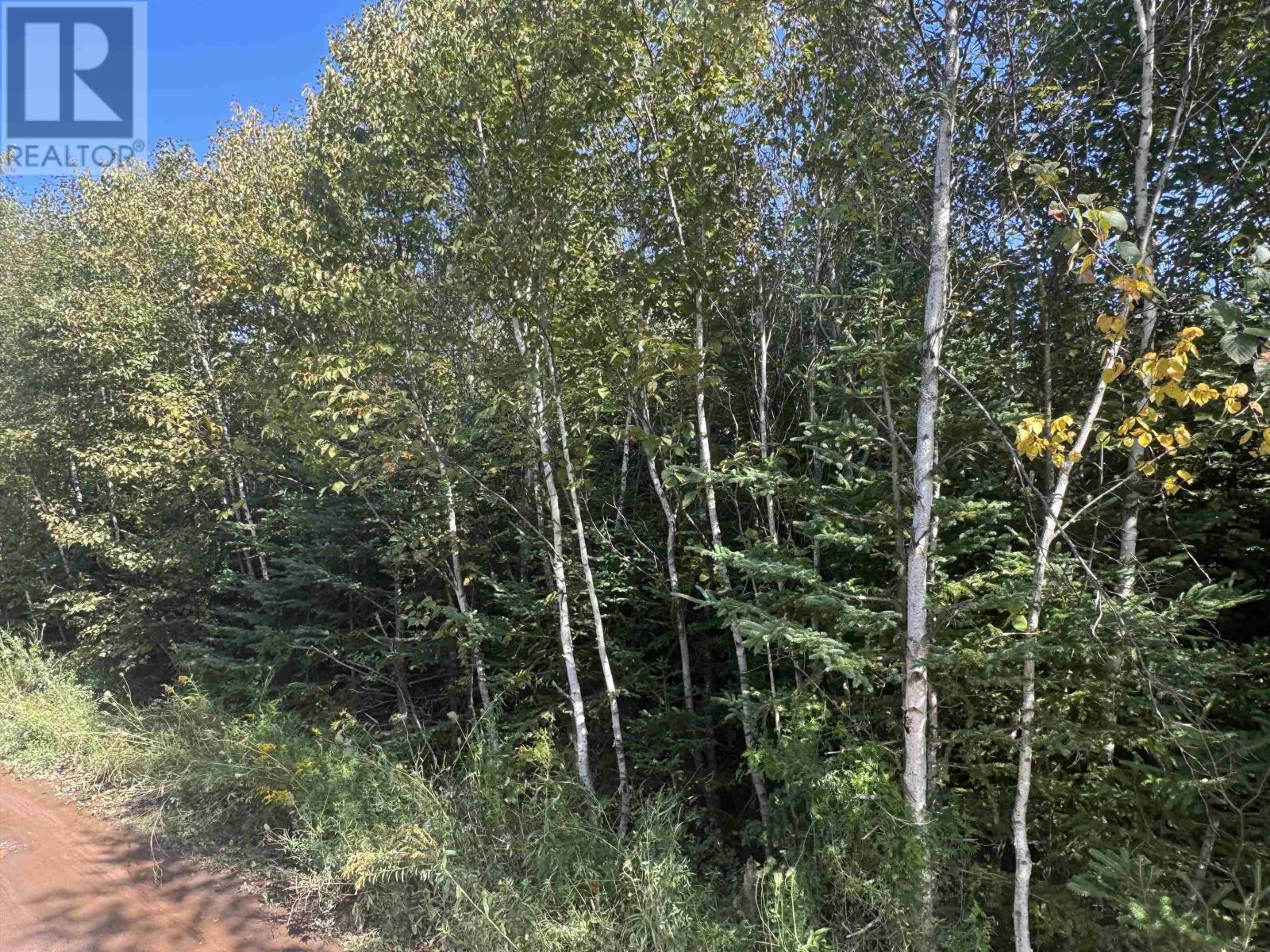W-17 Cove View Road, West Covehead, Prince Edward Island  C0A 1P0 - Photo 16 - 202623243
