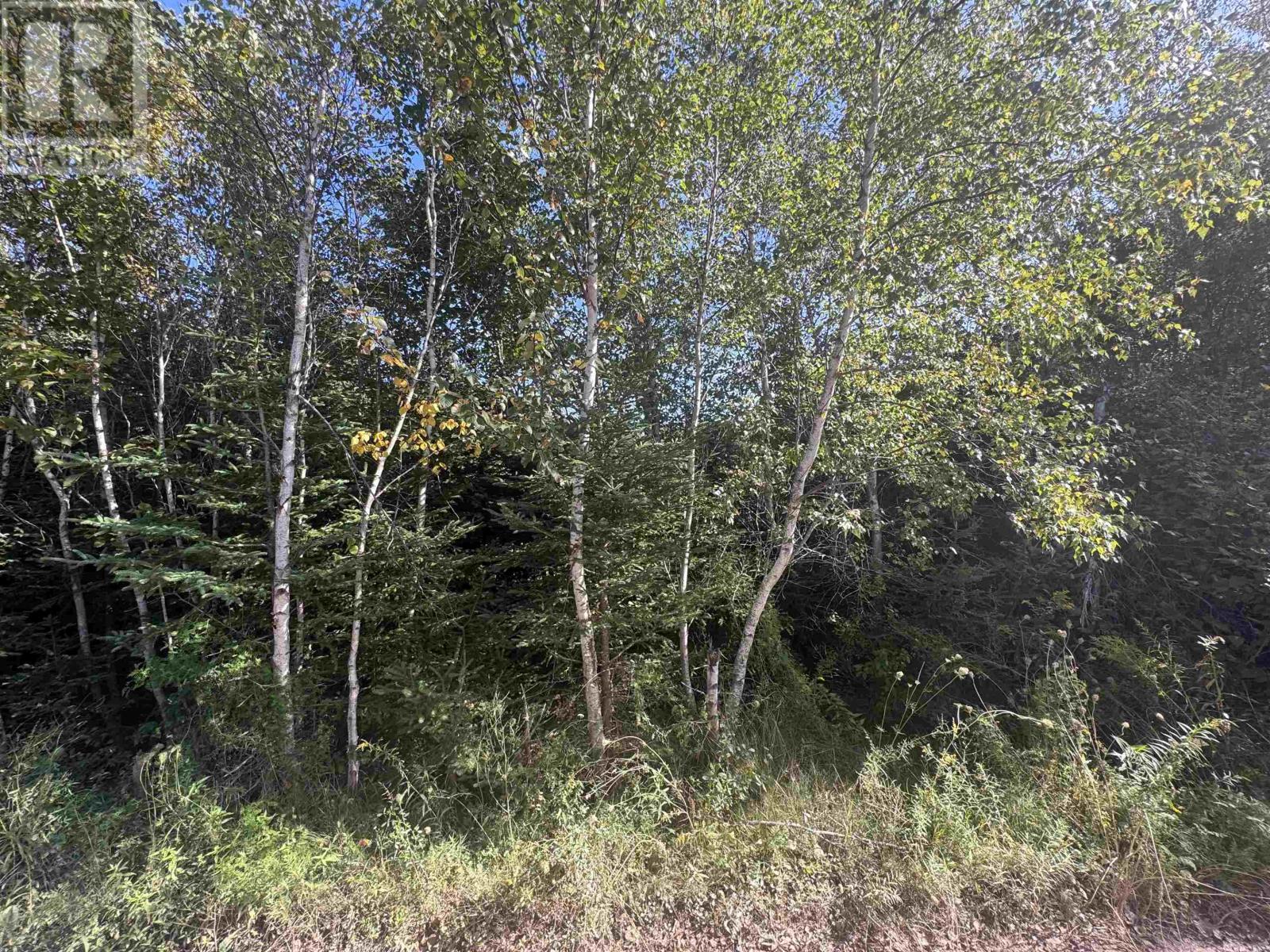 W-17 Cove View Road, West Covehead, Prince Edward Island  C0A 1P0 - Photo 17 - 202623243
