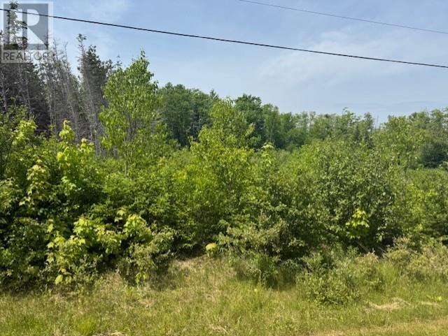 Lot 13 Westwood Lane, Emyvale, Prince Edward Island  C0A 1Y0 - Photo 12 - 202623589