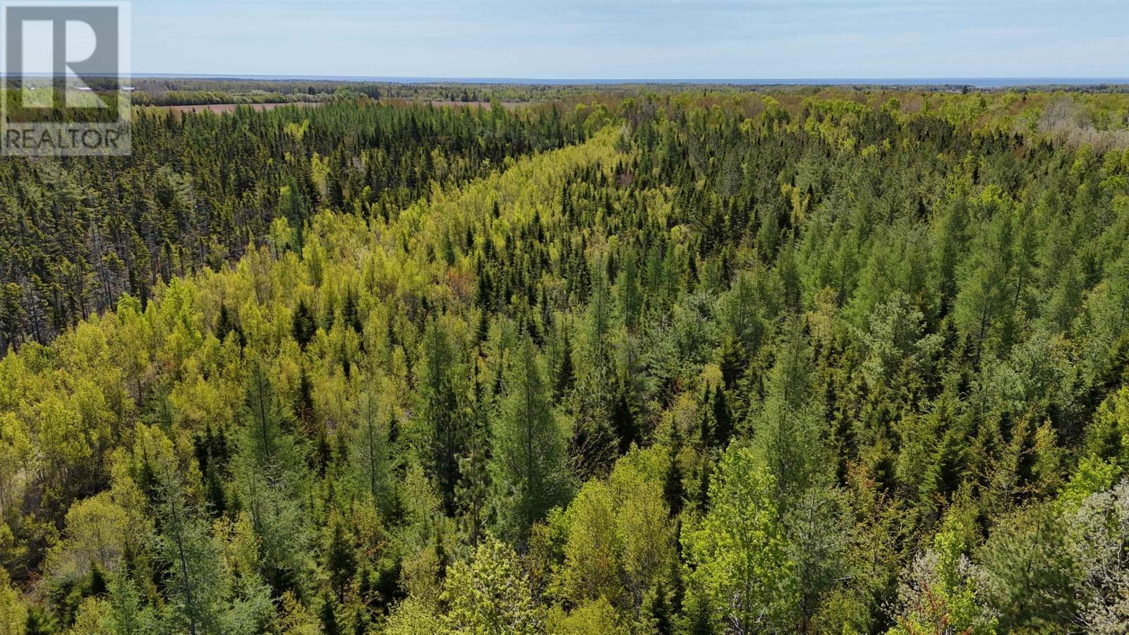 Glenwood, Glenwood, Prince Edward Island  C0B 1H0 - Photo 14 - 202624405