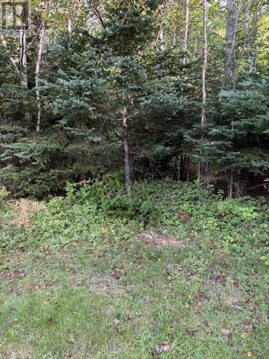 Lot 2 Panmure Island Road, Panmure Island, Prince Edward Island  C0A 1R0 - Photo 1 - 202624769