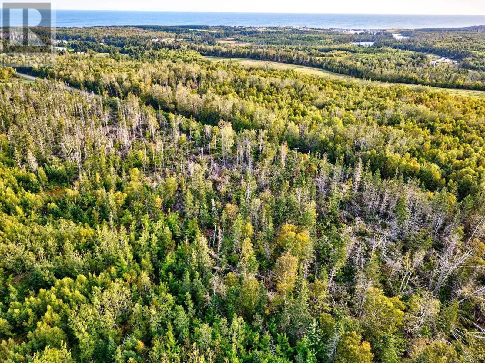 Lot 7 Hermitage Road, Monticello, Prince Edward Island  C0A 2B0 - Photo 5 - 202624792