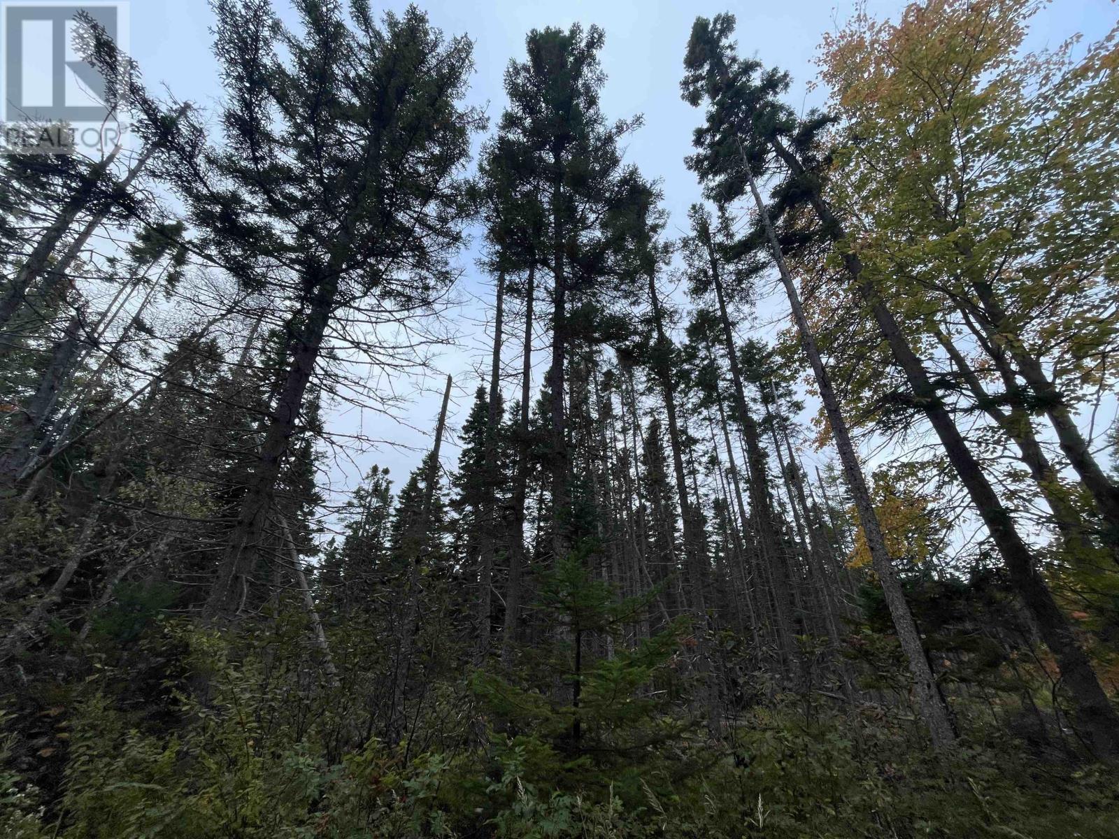 Farley Road, St. Lawrence, Prince Edward Island  C0B 1E0 - Photo 15 - 202625157
