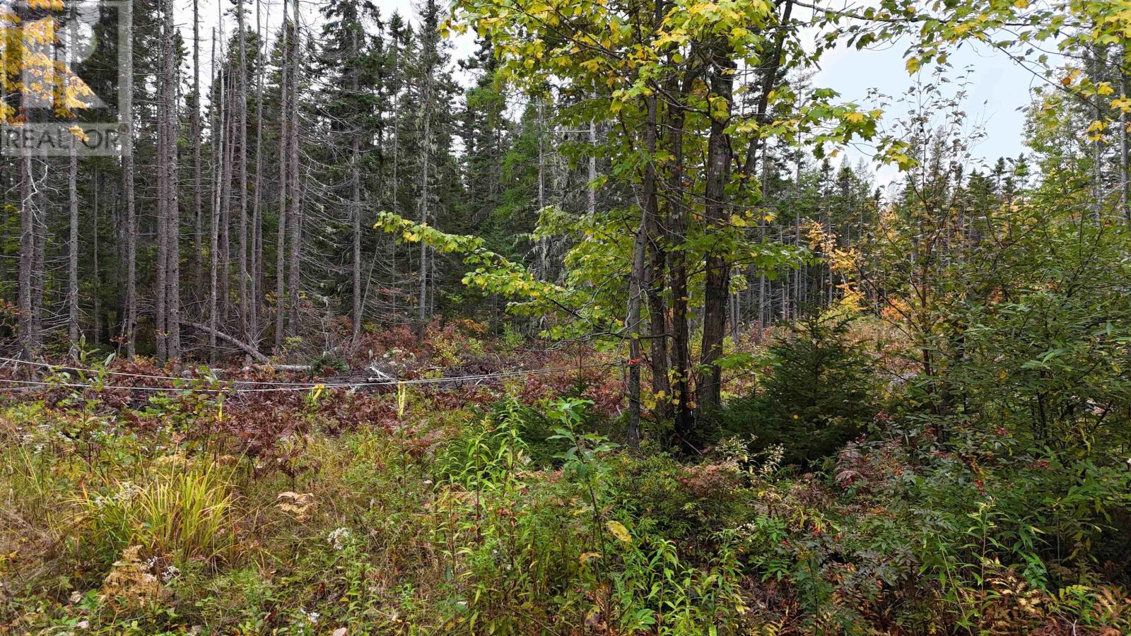 Farley Road, St. Lawrence, Prince Edward Island  C0B 1E0 - Photo 3 - 202625157