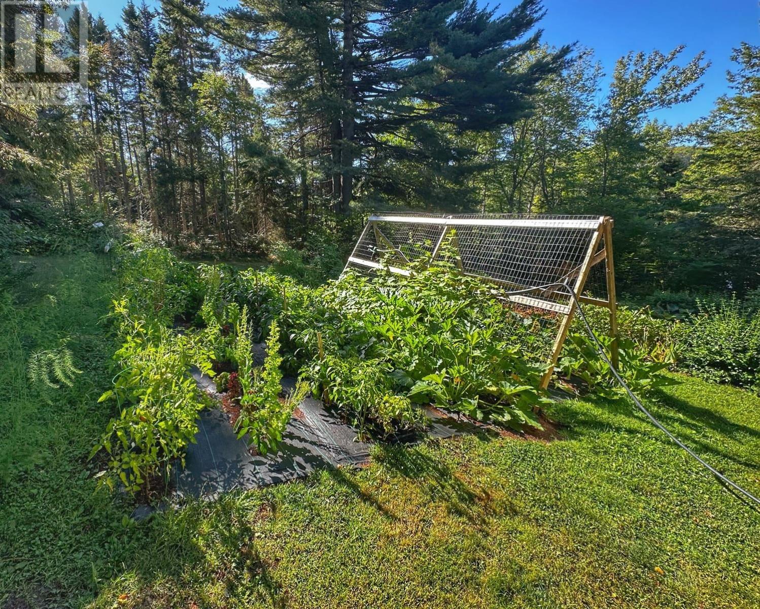 2159 Trout River Road, Millvale, Prince Edward Island  C0A 1E0 - Photo 14 - 202625844